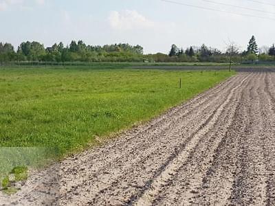 Tylko 17min samochodem od W-wy,1km do PKP i szkoły