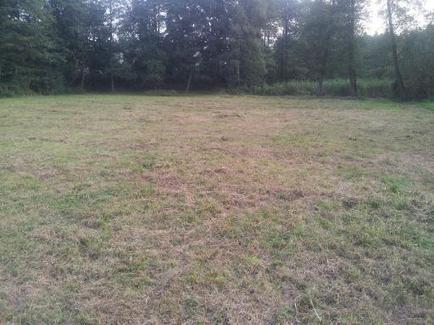 Działka 5247 m2 Swoszowice, ul. Lasogórska