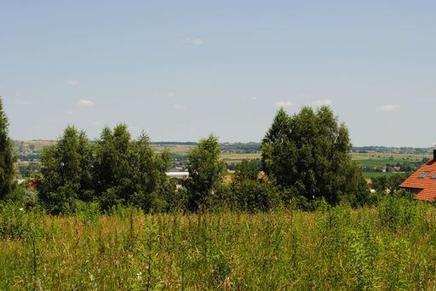 Zabierzów 4400 m2 Zabierzów, ul. Widokowa