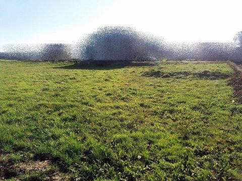 Działka na sprzedaż, 10a, Nosówka/ Rzeszów/ Przybyszówka