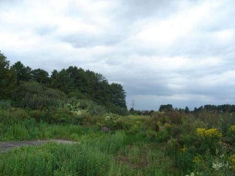 Bieżanów-Prokocim 14300 m2 Kraków