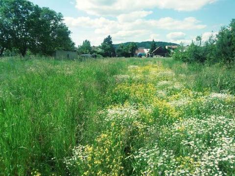 Działka 2700 m2 Zakliczyn