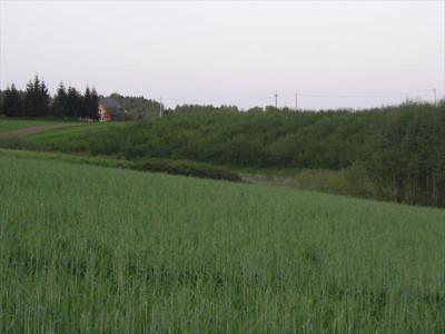 Działka rekreac. koło Krakowa z pięknym widokiem