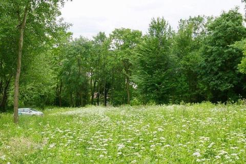 Wierzchowie-atrakcyjna działka pod budowę 4 domów