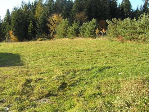 Działka budowlana Orawka-Studzianki