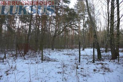 Działka Ruda Ruda 1800m2 (nr: 19066)