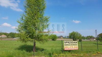 Działka budowlana 1500m2 w Głoskowie