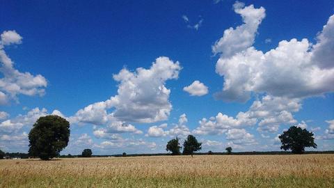 Łacha, około 10 min. od Zalewu Zegrzyńskiego, Narew i Bug