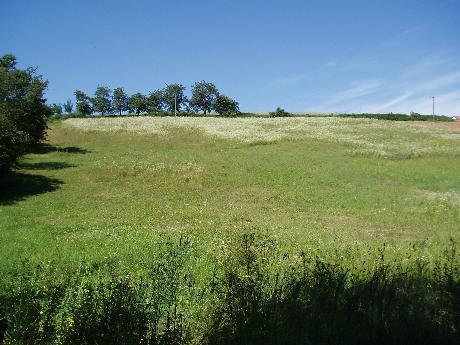 budowlano rolna Michałowice