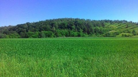 Działka budowlana Podleśna Wola Górna