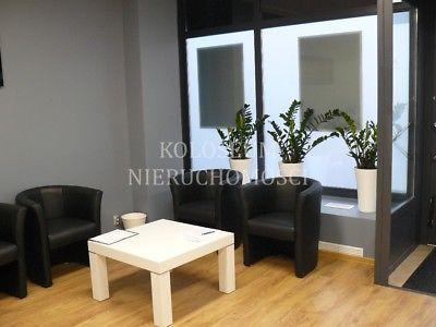 lokal na cele biurowo-usługowe, 500 m od Pl. Zawis