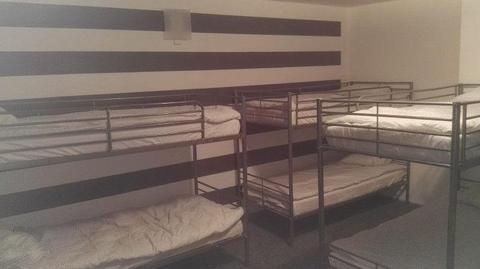 Zebra Hostel w Krakowie zaprasza!