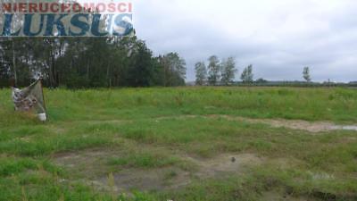 Działka Dobiesz Dobiesz 4180m2 (nr: 19202)