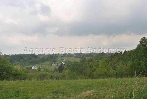 Działka Wieliczka 3000m2 (nr: BS1-GS-196966)