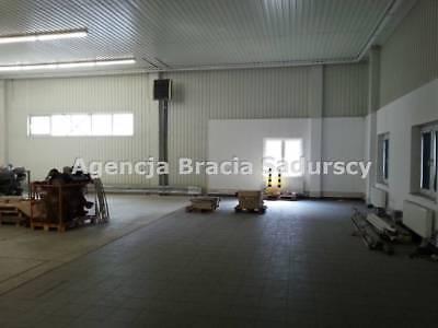 Lokal Kraków Czyżyny 595m2 (nr: BS3-HW-93105)