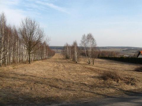 Działka r-b, Park Krajobrazowy Wzniesień Łódzkich, b. ładnie położona