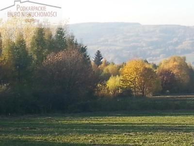 Działka Glinik Charzewski 5600m2 (nr: 477)