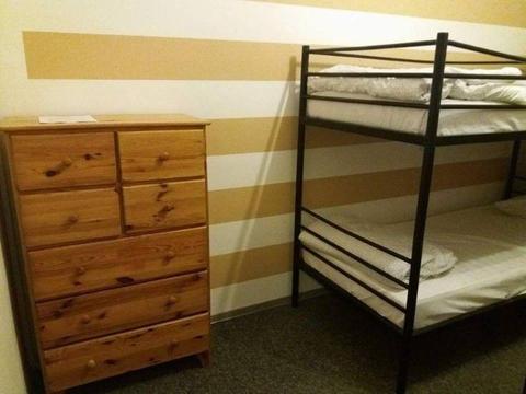 Zebra Hostel w Krakowie zaprasza!