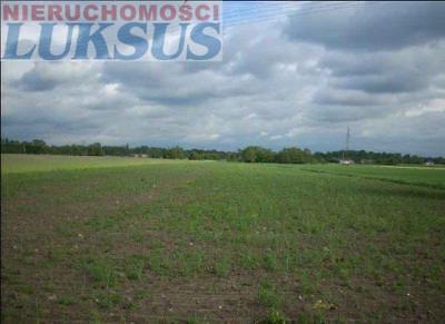 Działka Złotokłos Złotokłos 47000m2 (nr: 14568)