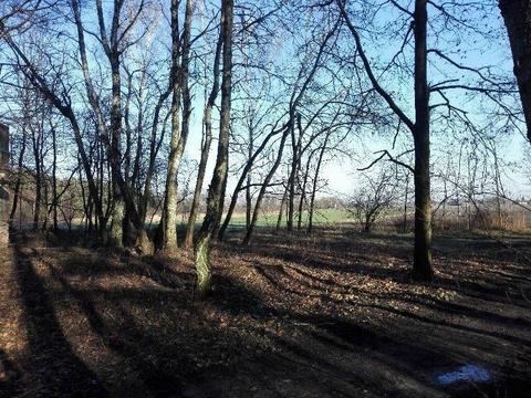 Sprzedam działkę budowlaną ŁASK-KOLUMNA