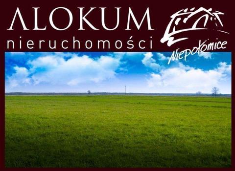 Pobiednik Mały / ok. Nowa Huta! Działka budowlana 20 AR / 80.000 zł!