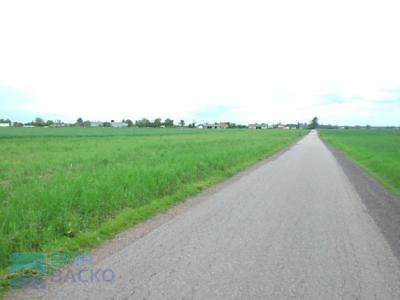 Działka Kłudno Nowe 1767m2 (nr: 1465)