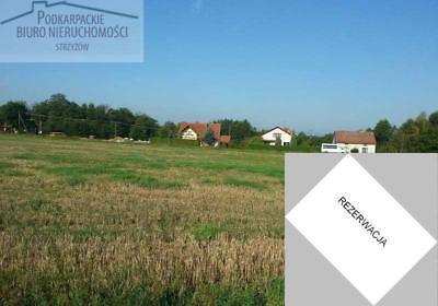 Działka Brzeżanka 13000m2 (nr: 569)