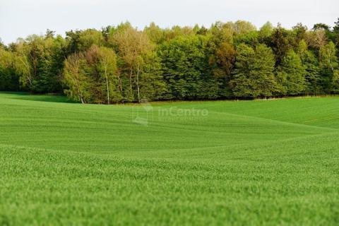 Działka z WZ, świetna lokalizacja. Dom 180m2