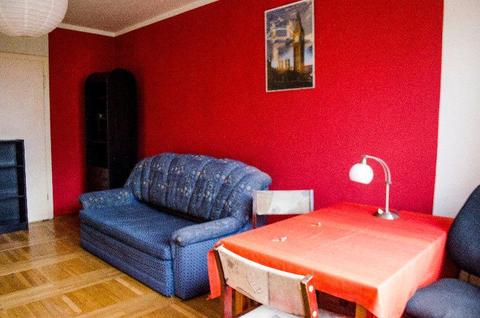 Przestronny pokój w przytulnym mieszkaniu na zielonych Winogradach :)