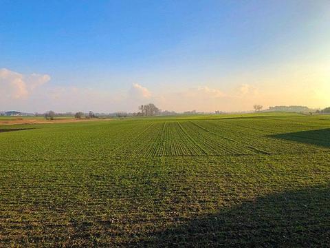 Działka budowlana, wydana WZ, Mieściska, gm Duszniki, w otoczeniu LAS i REZERWATY PRZYRODY