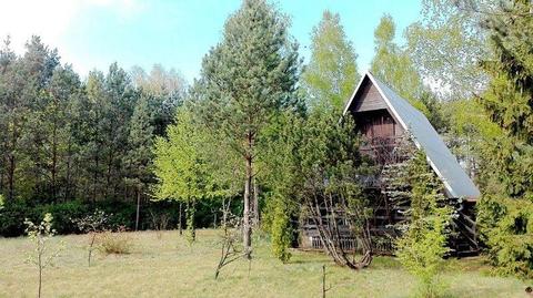 Przytulny dom na pięknej działce wśród lasów, nad rzeką Bug