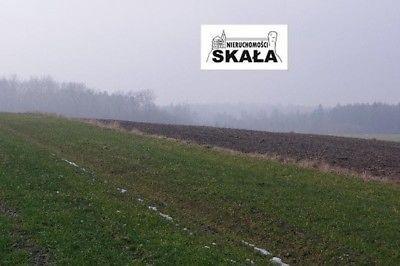 Gołyszyn, gmina Skała, działka siedliskowa 1,8 ha
