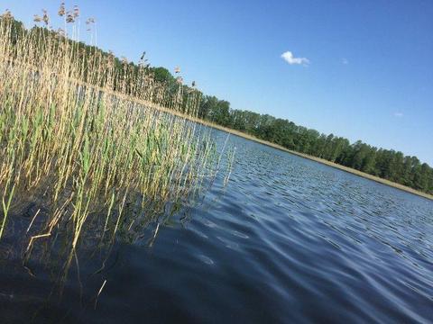 WAKACJE 2018 - 9 OSOBOWY DOM 120M2 NAD JEZIOREM, 2 ŁÓDKI, POMOST