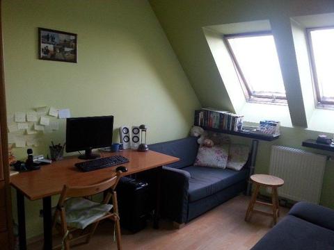 Jednoosobowy pokój do wynajęcia