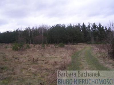 Działka Ryczywół 2800m2 (nr: 1409)