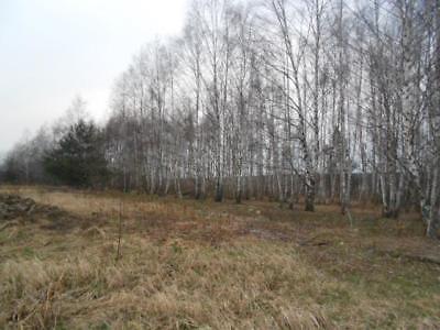 Działka Wierzbica 4000m2 (nr: 6188)