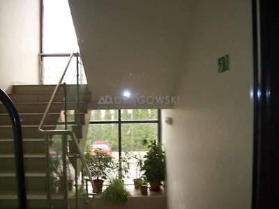 Lokal Warszawa Wawer 2000m2 (nr: 324/4790/OLS)