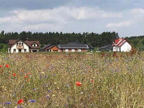 gmina Dopiewo Trzcielin-Lisówki działka inwestycyjna