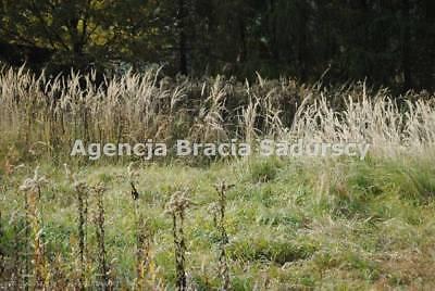 Działka Kraków Podgórze 1484m2 (nr: BS2-GS-205774-9)