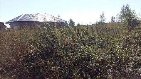 Wilkszyn działka z warunkami zabudowy