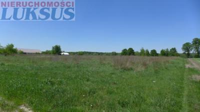 Działka Dobiesz Dobiesz 2566m2 (nr: 19159)