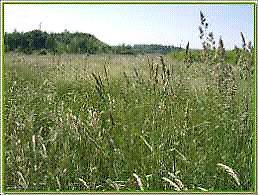 Piekna działka budowlana -tel 501 -678-854