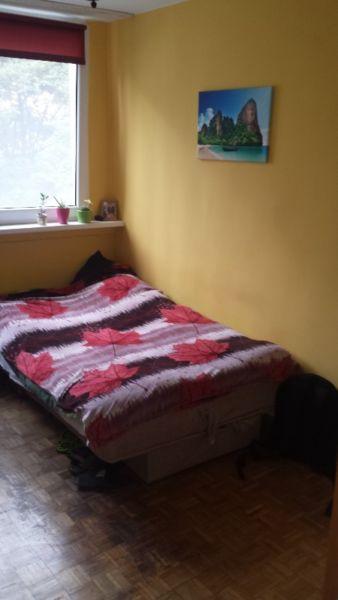 Do wynajęcia pokój 1-osobowy, ul. Czarnieckiego - okolice pl. Strzegomskiego