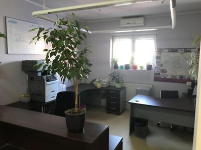 Biuro, usługi, parter 120m2 Kliny (nr: 228)
