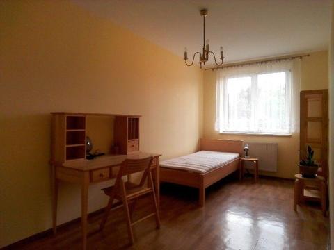 POKÓJ 1 OSOBOWY / DĘBNIKI / ROLNA
