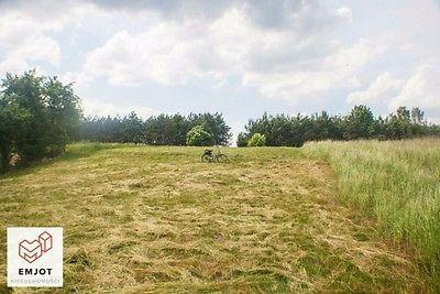 Do sprzedania działka z warunkami zabudowy