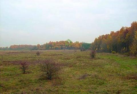 Głosków działka poz zabudowę jednorodzinną