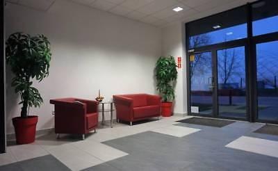 Lokal biurowy 225m2-500m2, Zabłocie, Dekerta