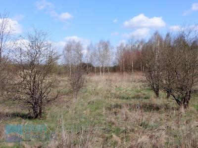 Działka Opypy 2300m2 (nr: 1332)
