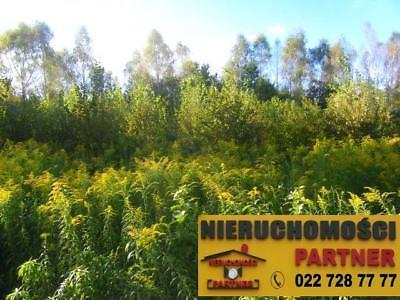 Działka Otrębusy 1600m2 (nr: 1400)